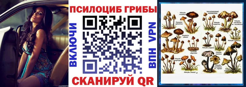 продажа наркотиков  Корсаков  Псилоцибиновые грибы Cubensis 